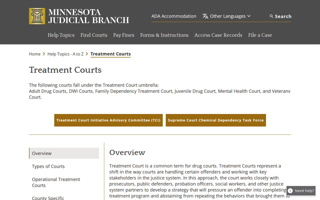 Wells court docket Minnesota treatment courts overview